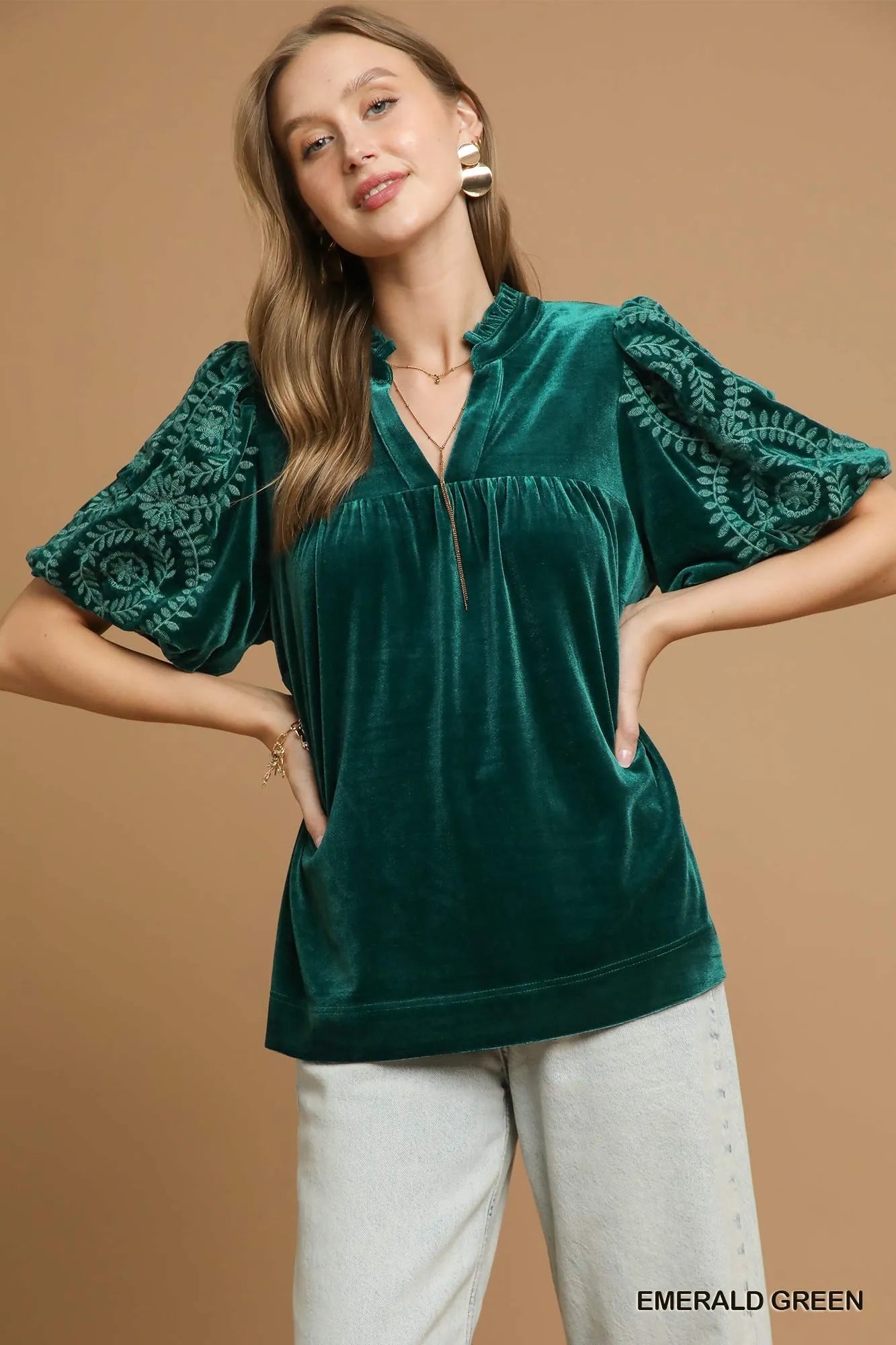 Velvet Blouse with Elegant Embroidered Sleeves - Alwesbo Fashion
